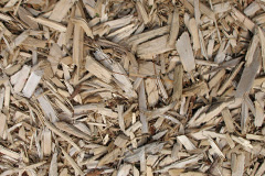 biomass boilers Woodgreen